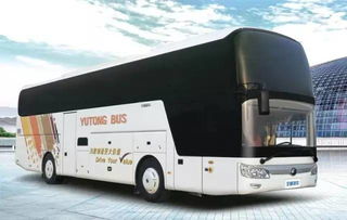 周末熱浪島四季恒溫水世界一日游，舊機動車煥發新活力